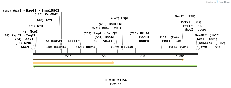 281657_map