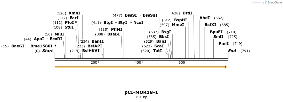 28166_map
