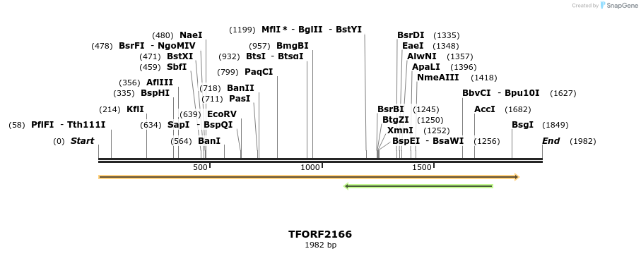 281666_map