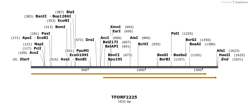 281675_map