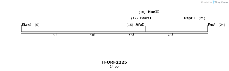 281676_map