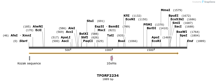 281678_map
