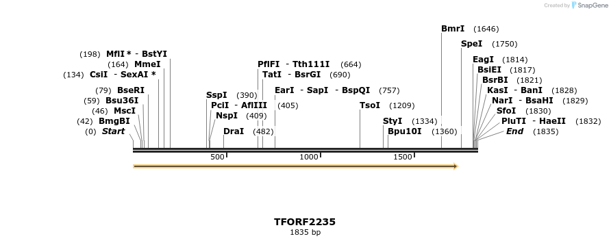 281681_map