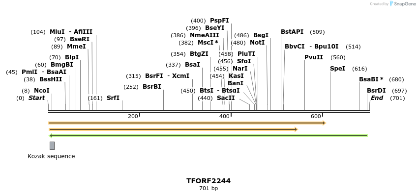 281684_map