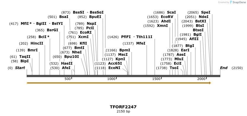 281687_map