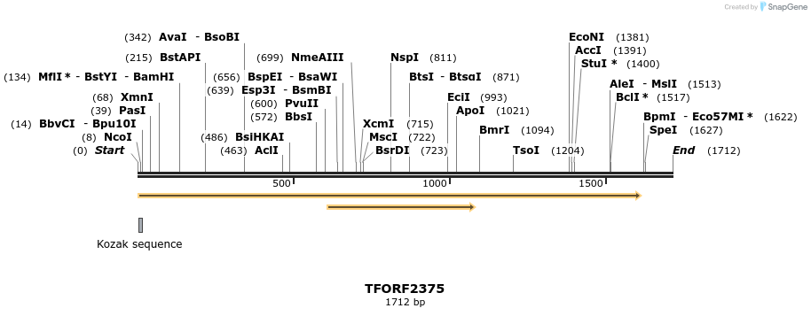 281699_map