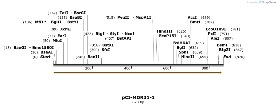 28170_map