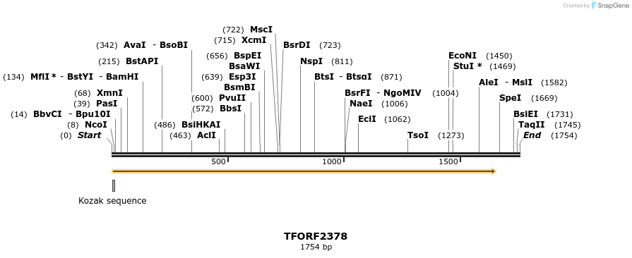 281702_map