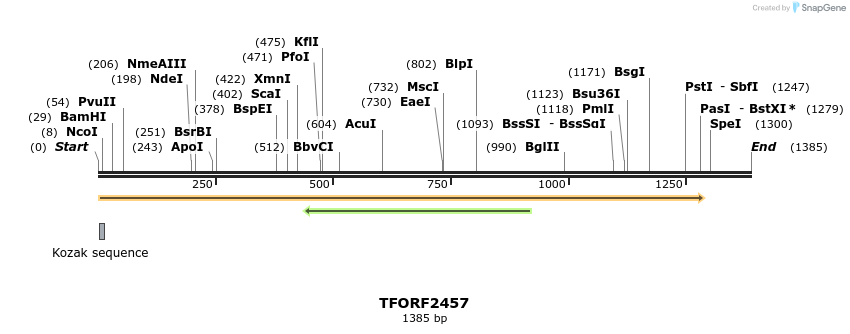 281705_map