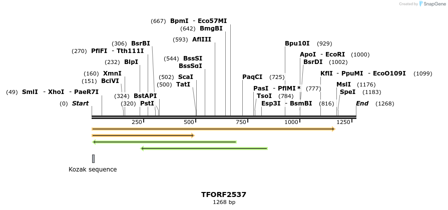 281708_map