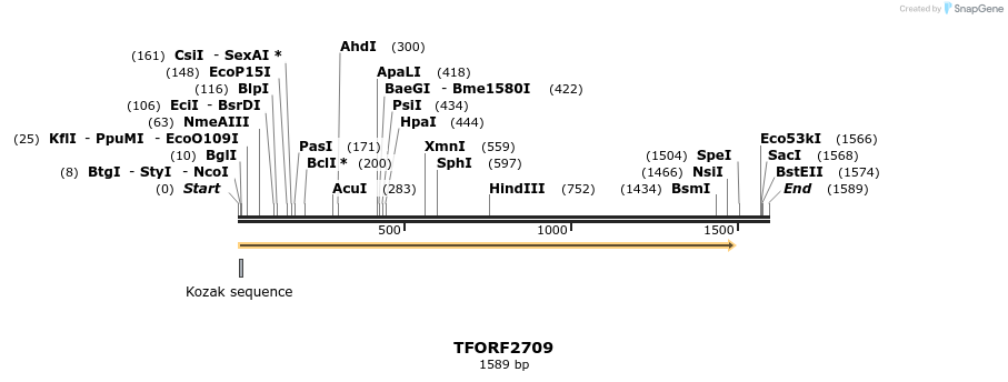 281711_map