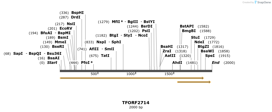 281714_map
