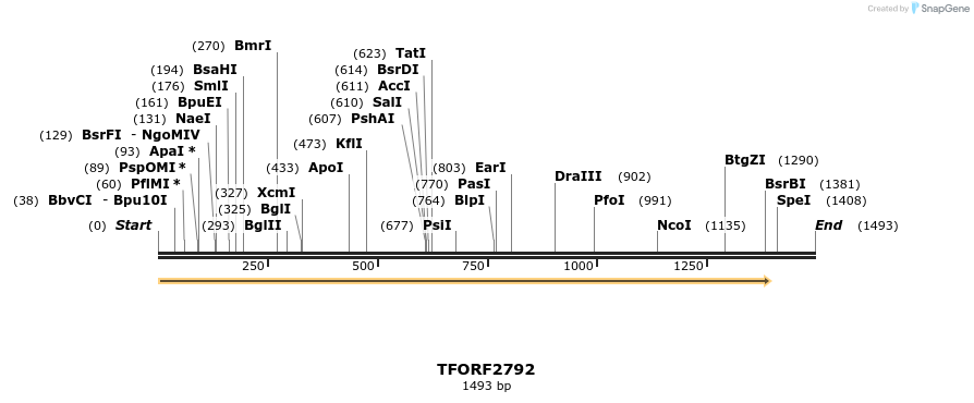 281717_map