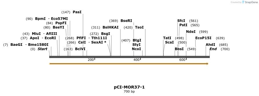 28172_map