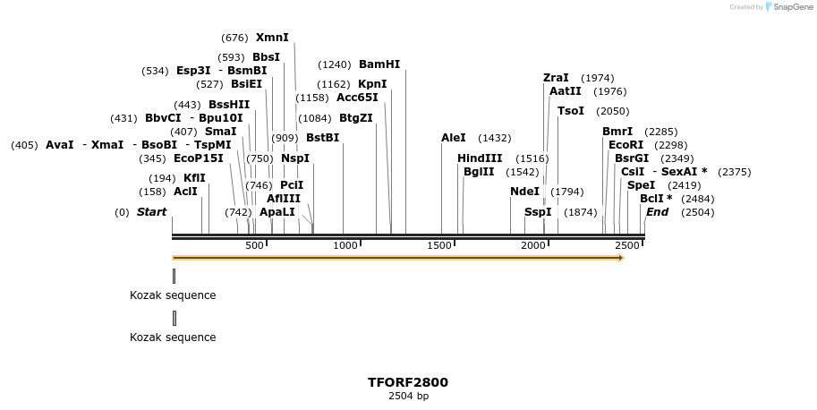 281720_map