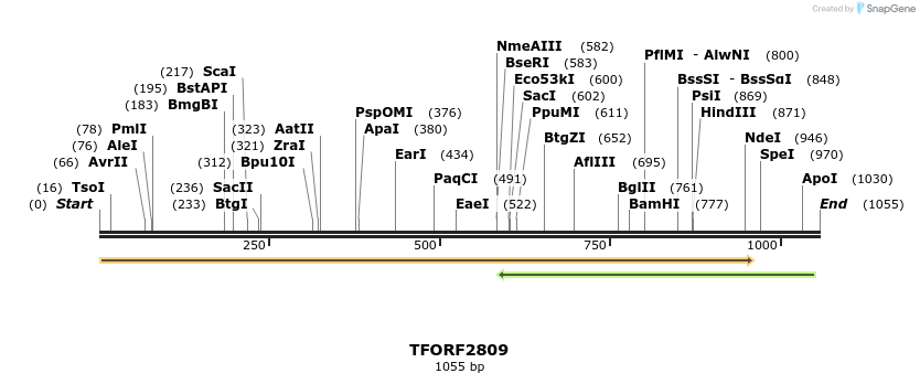 281723_map