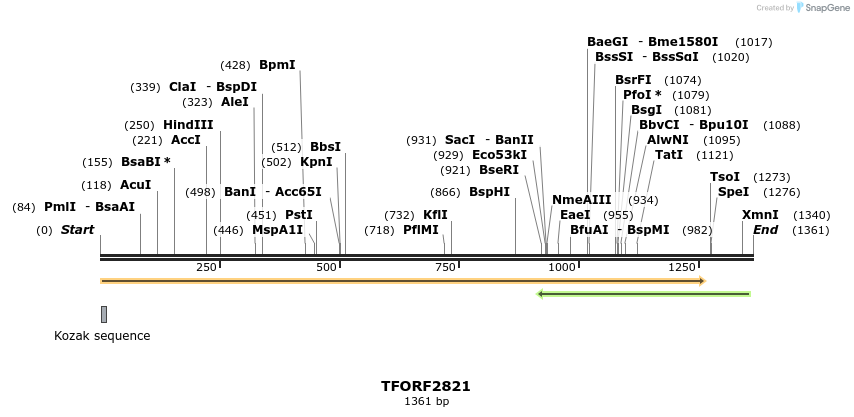 281726_map