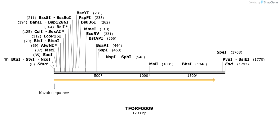281729_map