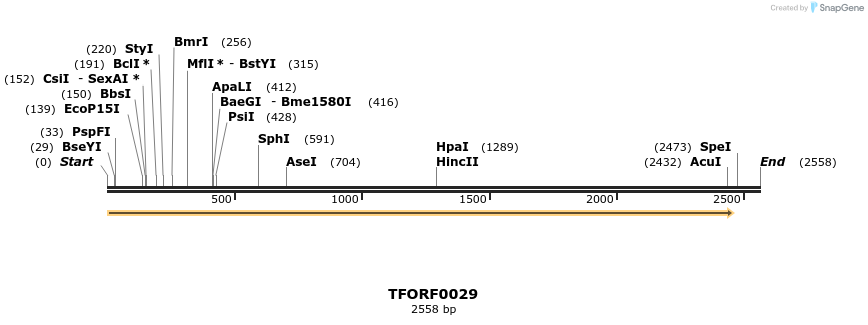 281732_map