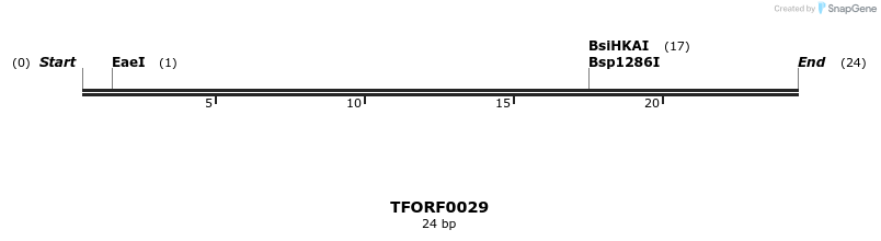 281733_map