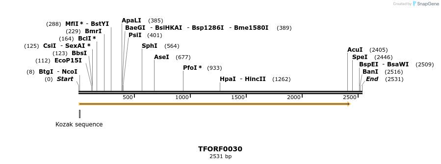 281735_map
