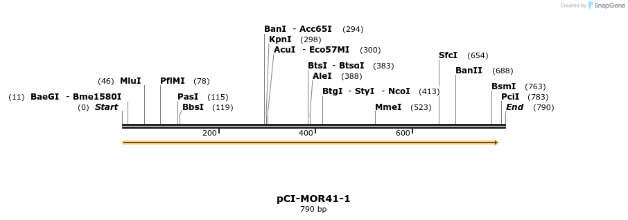 28174_map