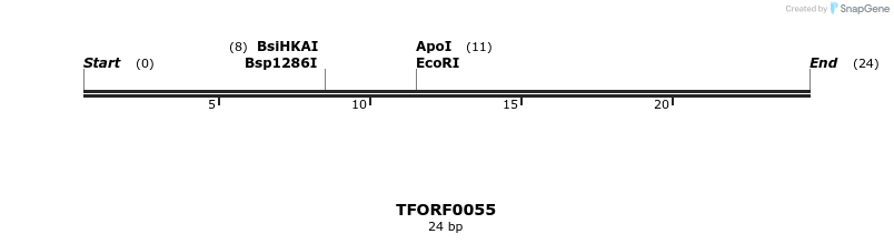 281742_map