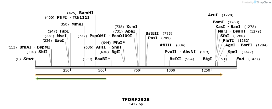 281744_map