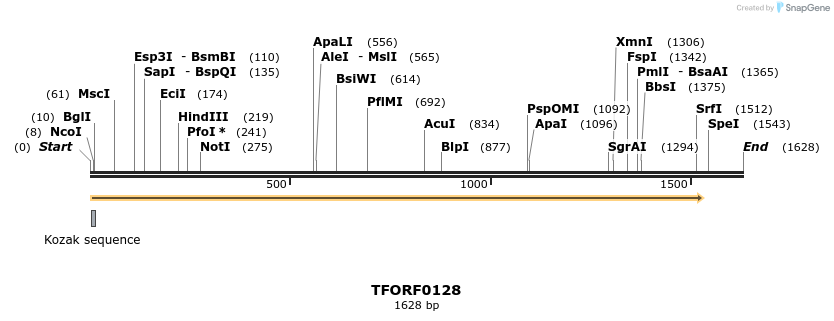 281747_map