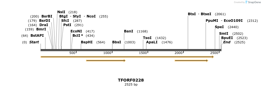 281753_map