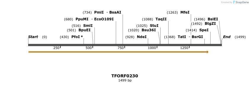281756_map