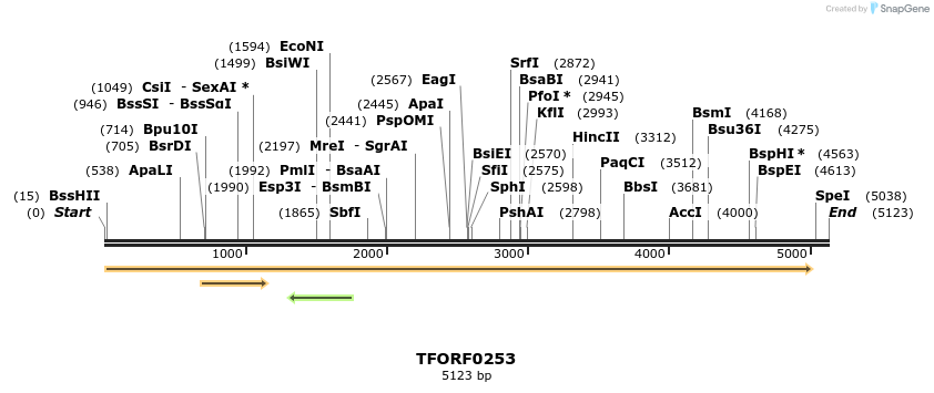 281762_map