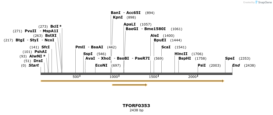 281765_map