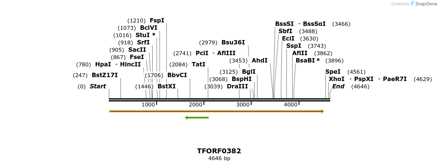 281768_map
