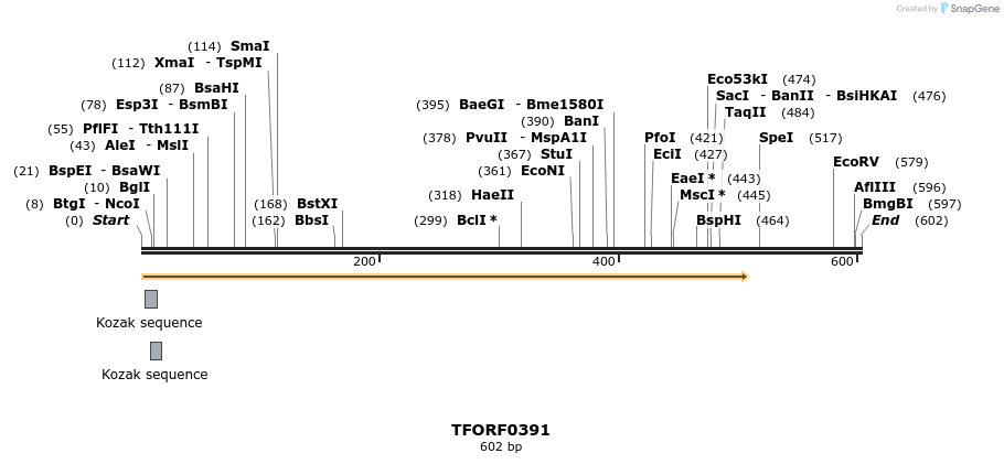 281771_map