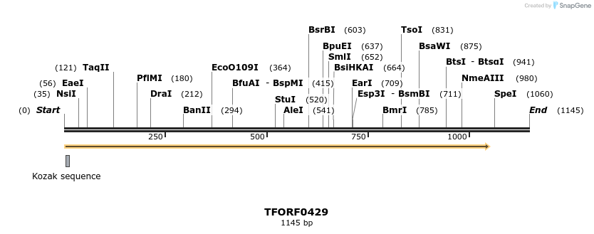 281777_map