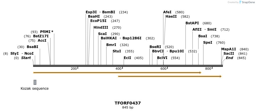 281780_map