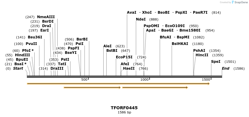 281783_map