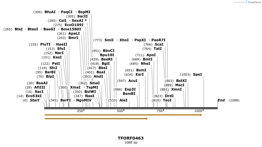281789_map