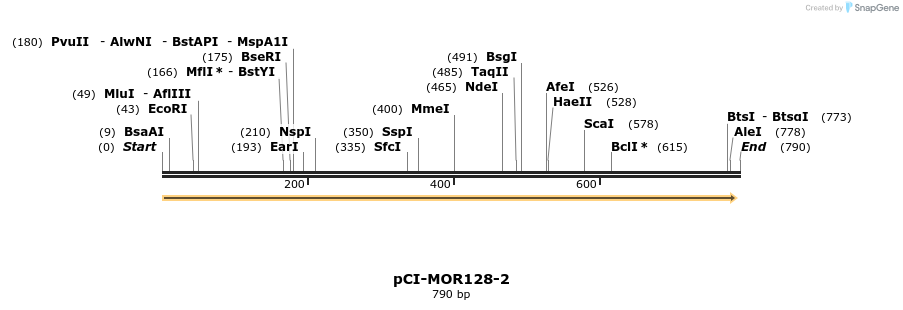 28179_map