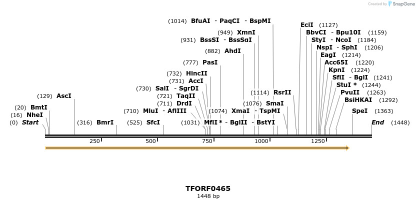 281792_map