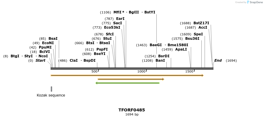 281795_map