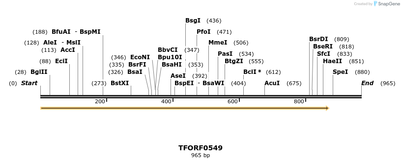 281804_map
