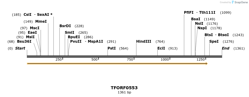 281807_map
