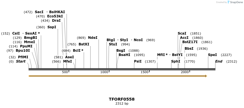281810_map