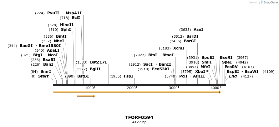 281813_map