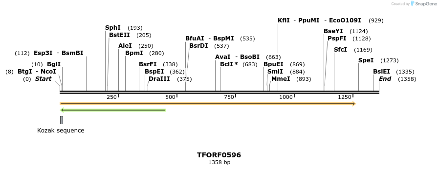 281816_map