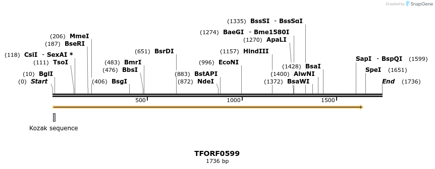281819_map