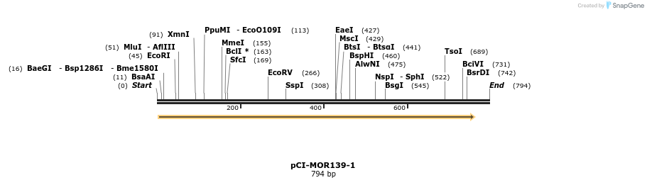 28182_map