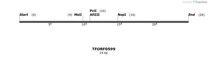 281820_map